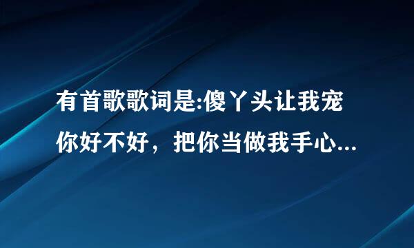 有首歌歌词是:傻丫头让我宠你好不好，把你当做我手心里的宝，这是什么歌？