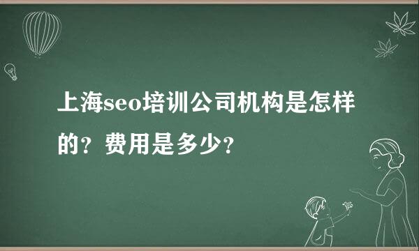 上海seo培训公司机构是怎样的？费用是多少？