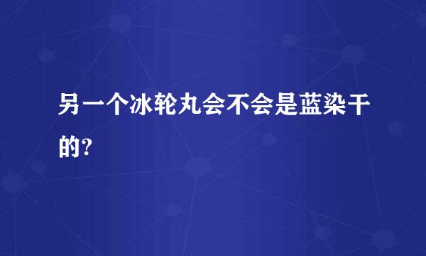 另一个冰轮丸会不会是蓝染干的?