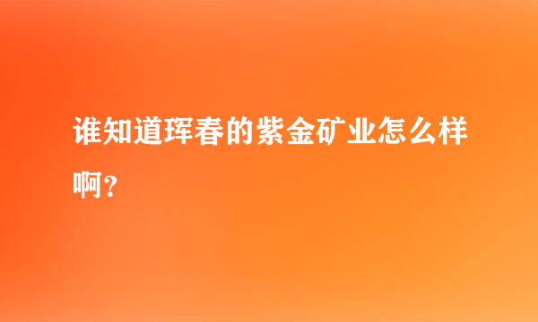 谁知道珲春的紫金矿业怎么样啊？