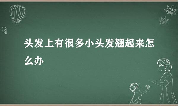 头发上有很多小头发翘起来怎么办