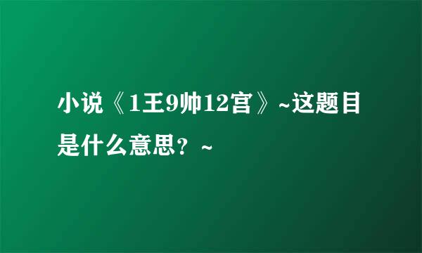 小说《1王9帅12宫》~这题目是什么意思？~