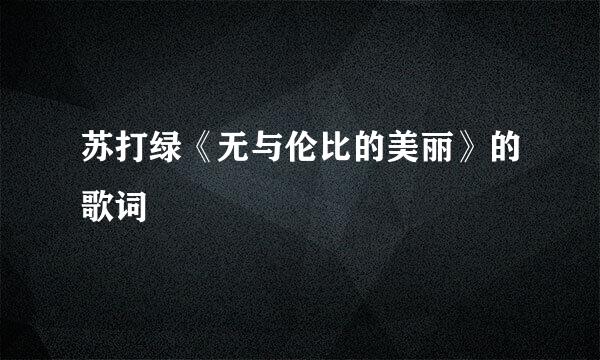 苏打绿《无与伦比的美丽》的歌词