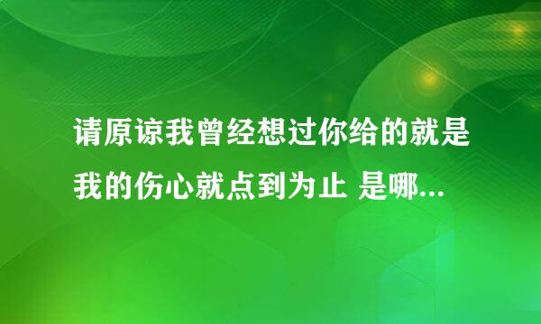 请原谅我曾经想过你给的就是我的伤心就点到为止 是哪首歌的歌词？