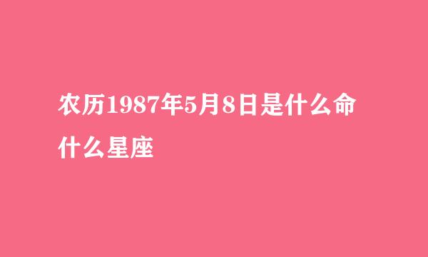 农历1987年5月8日是什么命什么星座