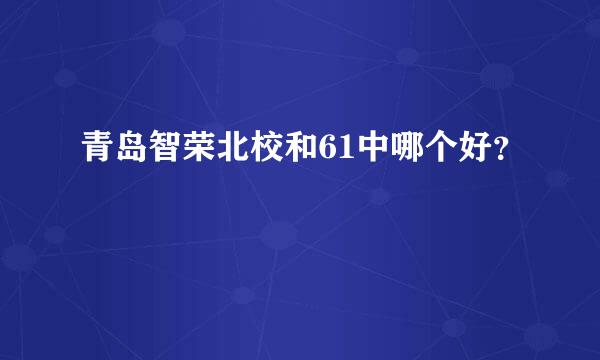 青岛智荣北校和61中哪个好？