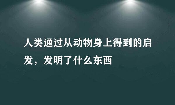 人类通过从动物身上得到的启发，发明了什么东西