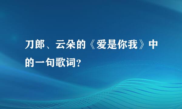 刀郎、云朵的《爱是你我》中的一句歌词？