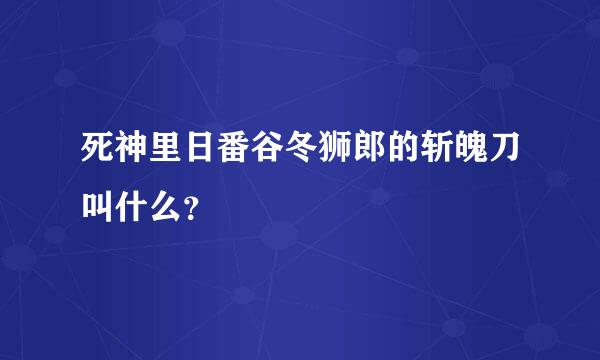 死神里日番谷冬狮郎的斩魄刀叫什么？