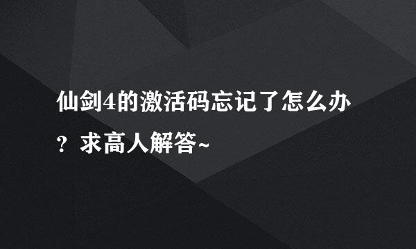 仙剑4的激活码忘记了怎么办？求高人解答~