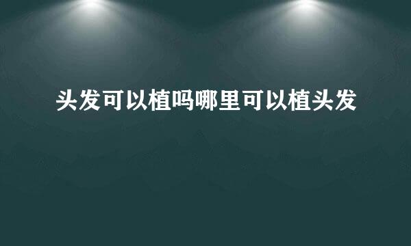 头发可以植吗哪里可以植头发