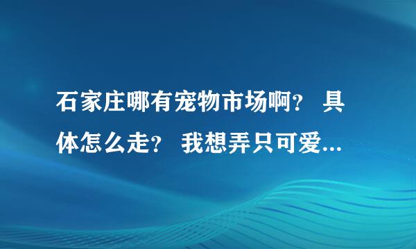 石家庄哪有宠物市场啊？ 具体怎么走？ 我想弄只可爱的小狗狗？？