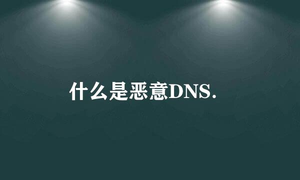 什么是恶意DNS．