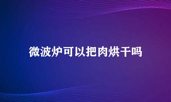 微波炉可以把肉烘干吗