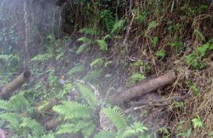 现在缅甸野人山里面还有野人住吗最近有没有人进去探索