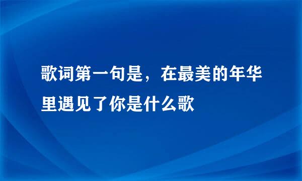 歌词第一句是，在最美的年华里遇见了你是什么歌