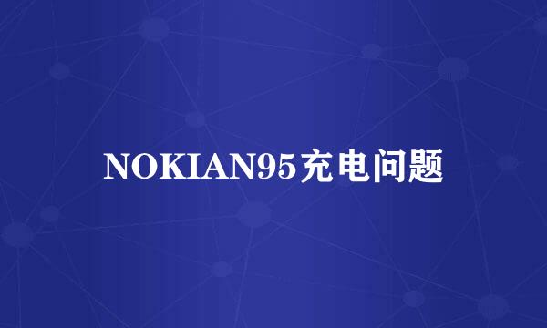 NOKIAN95充电问题