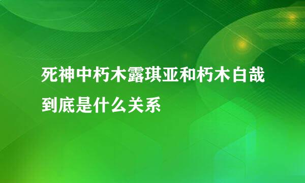 死神中朽木露琪亚和朽木白哉到底是什么关系