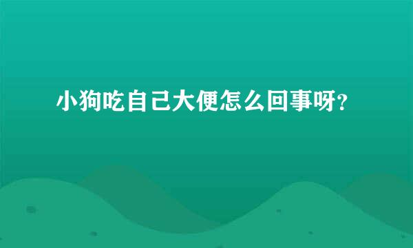 小狗吃自己大便怎么回事呀？