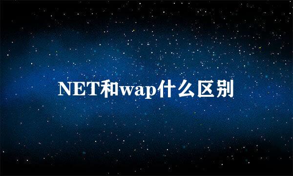 NET和wap什么区别