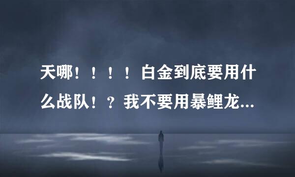 天哪！！！！白金到底要用什么战队！？我不要用暴鲤龙暴地龙蔷薇啊！要容易抓的！！！！！！！