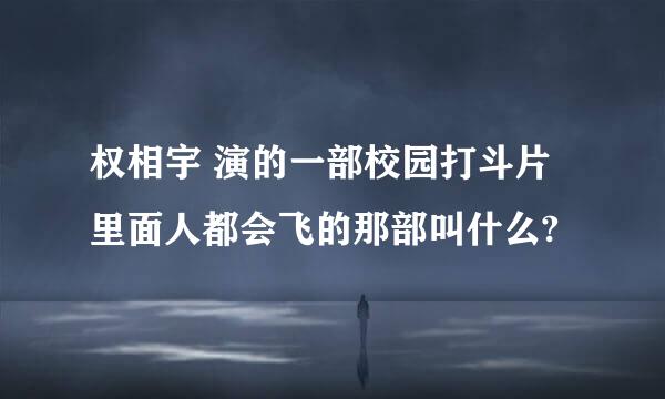 权相宇 演的一部校园打斗片 里面人都会飞的那部叫什么?