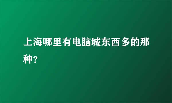 上海哪里有电脑城东西多的那种？