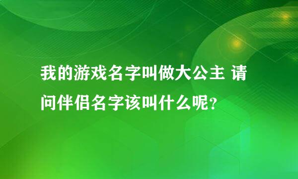 我的游戏名字叫做大公主 请问伴侣名字该叫什么呢？