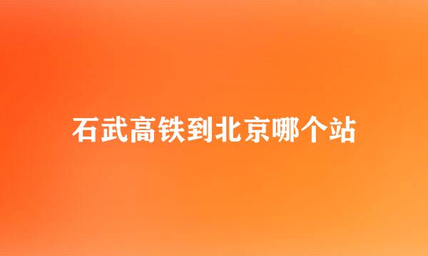 石武高铁到北京哪个站