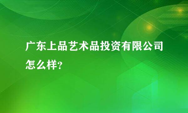 广东上品艺术品投资有限公司怎么样？