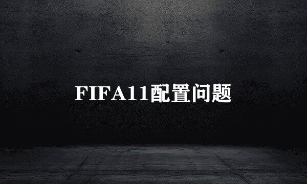 FIFA11配置问题