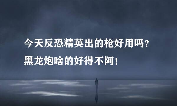 今天反恐精英出的枪好用吗？黑龙炮啥的好得不阿！