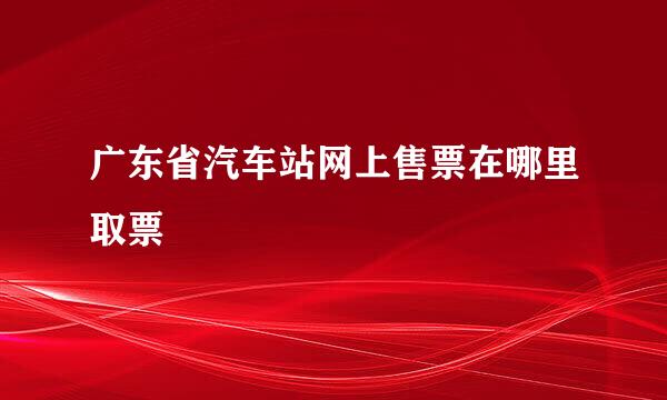 广东省汽车站网上售票在哪里取票