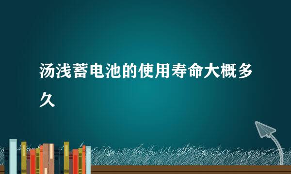 汤浅蓄电池的使用寿命大概多久