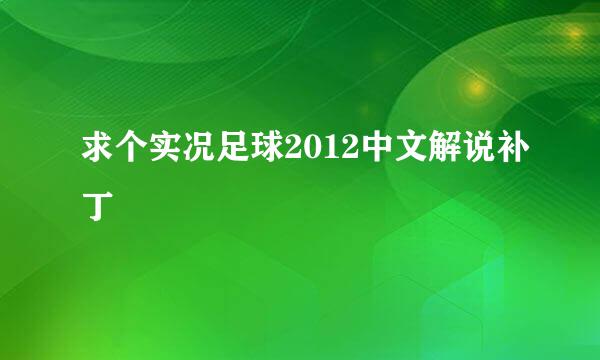 求个实况足球2012中文解说补丁