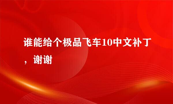 谁能给个极品飞车10中文补丁，谢谢