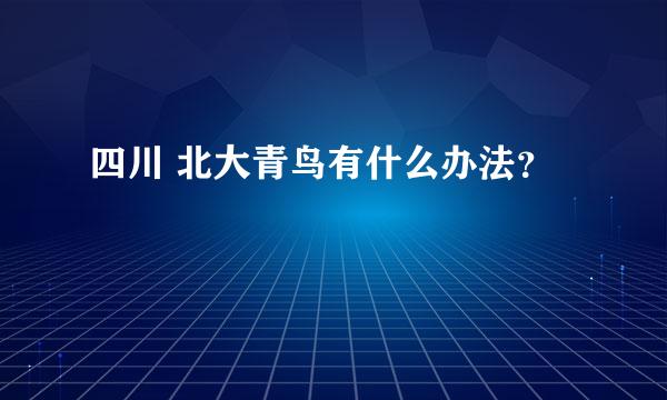 四川 北大青鸟有什么办法？