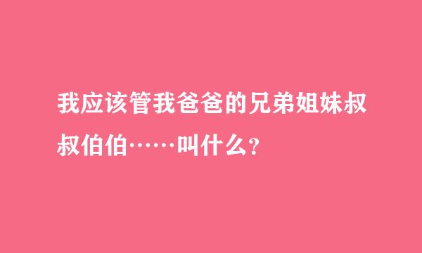 我应该管我爸爸的兄弟姐妹叔叔伯伯……叫什么？