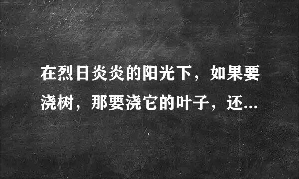 在烈日炎炎的阳光下，如果要浇树，那要浇它的叶子，还是浇它的根啊？？？