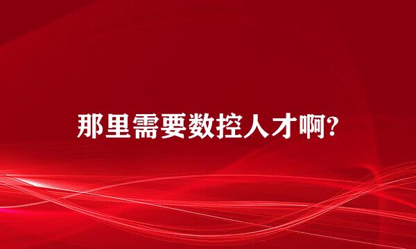 那里需要数控人才啊?