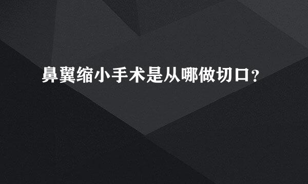 鼻翼缩小手术是从哪做切口？