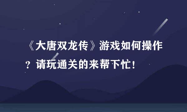 《大唐双龙传》游戏如何操作？请玩通关的来帮下忙！