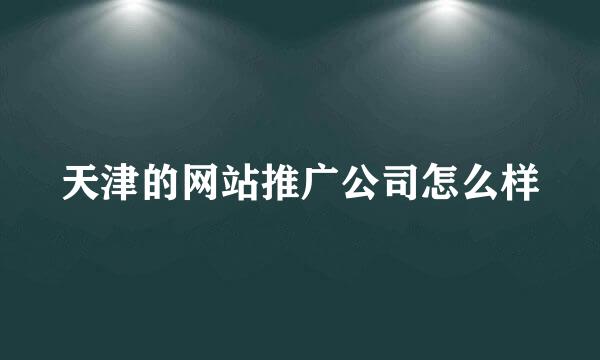 天津的网站推广公司怎么样