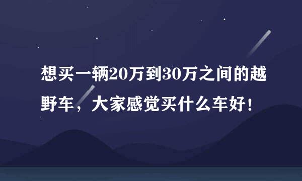 想买一辆20万到30万之间的越野车，大家感觉买什么车好！