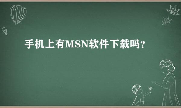 手机上有MSN软件下载吗？