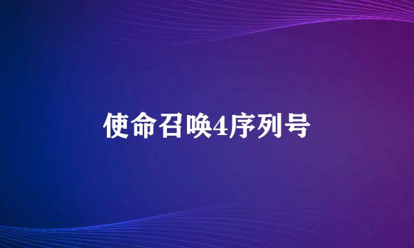 使命召唤4序列号