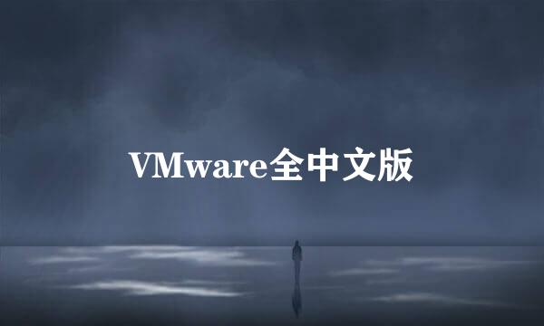 VMware全中文版