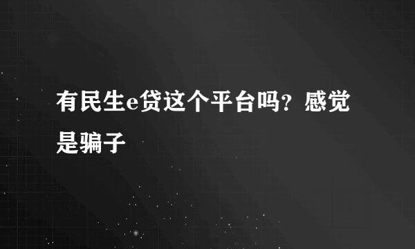 有民生e贷这个平台吗？感觉是骗子