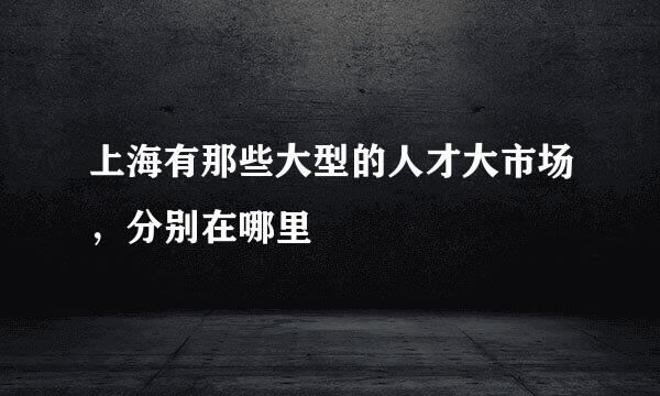 上海有那些大型的人才大市场，分别在哪里