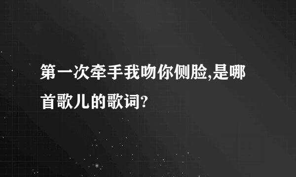 第一次牵手我吻你侧脸,是哪首歌儿的歌词?